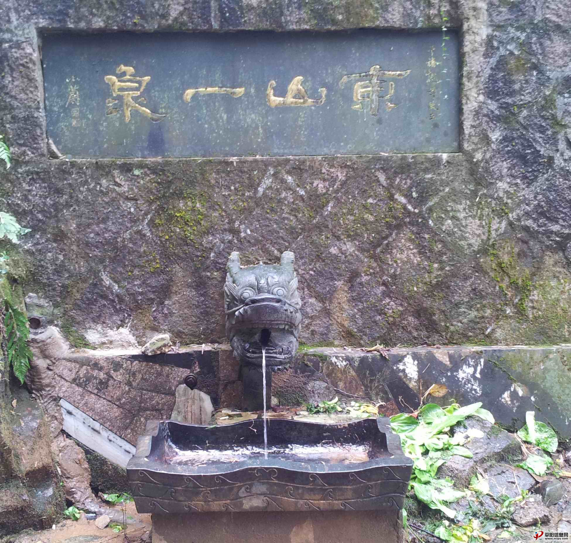 20131124_084334.jpg