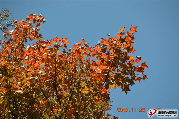 DSC_0254.jpg