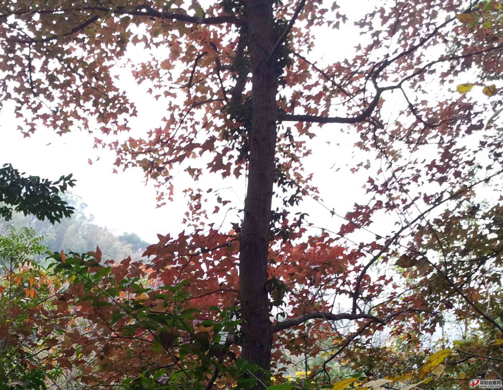 20131214_072606_ͼ.jpg