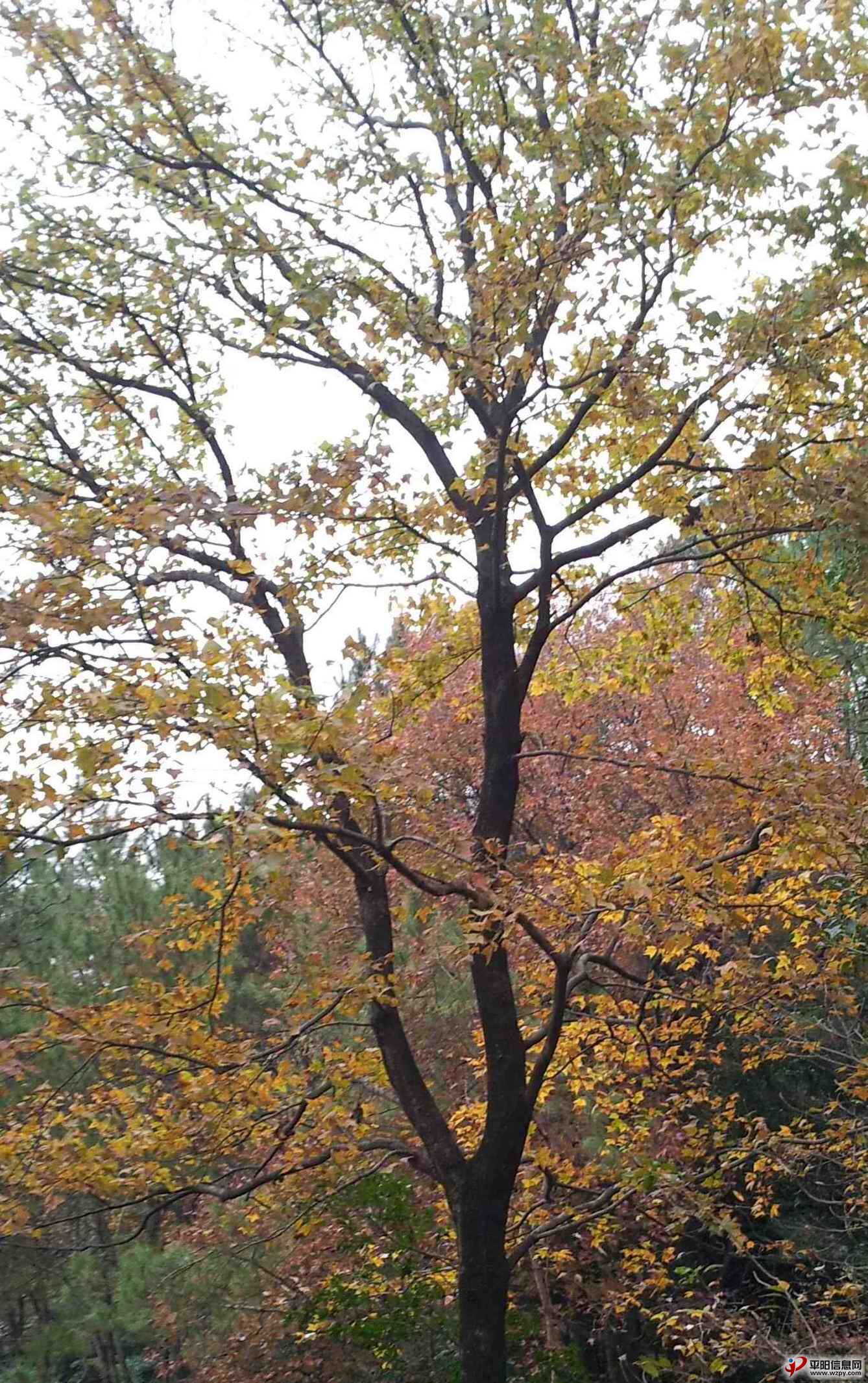 20131214_073117_ͼ.jpg