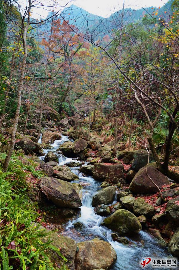 DSC_1616.JPG
