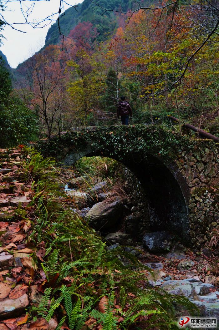DSC_1620.JPG