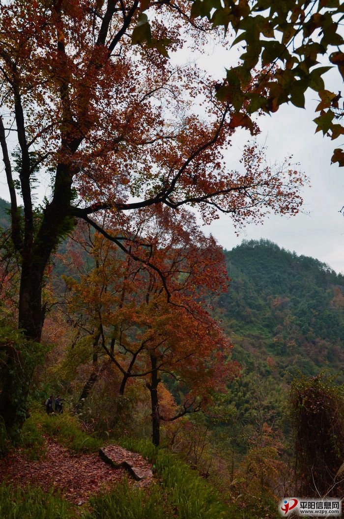 DSC_1632.JPG