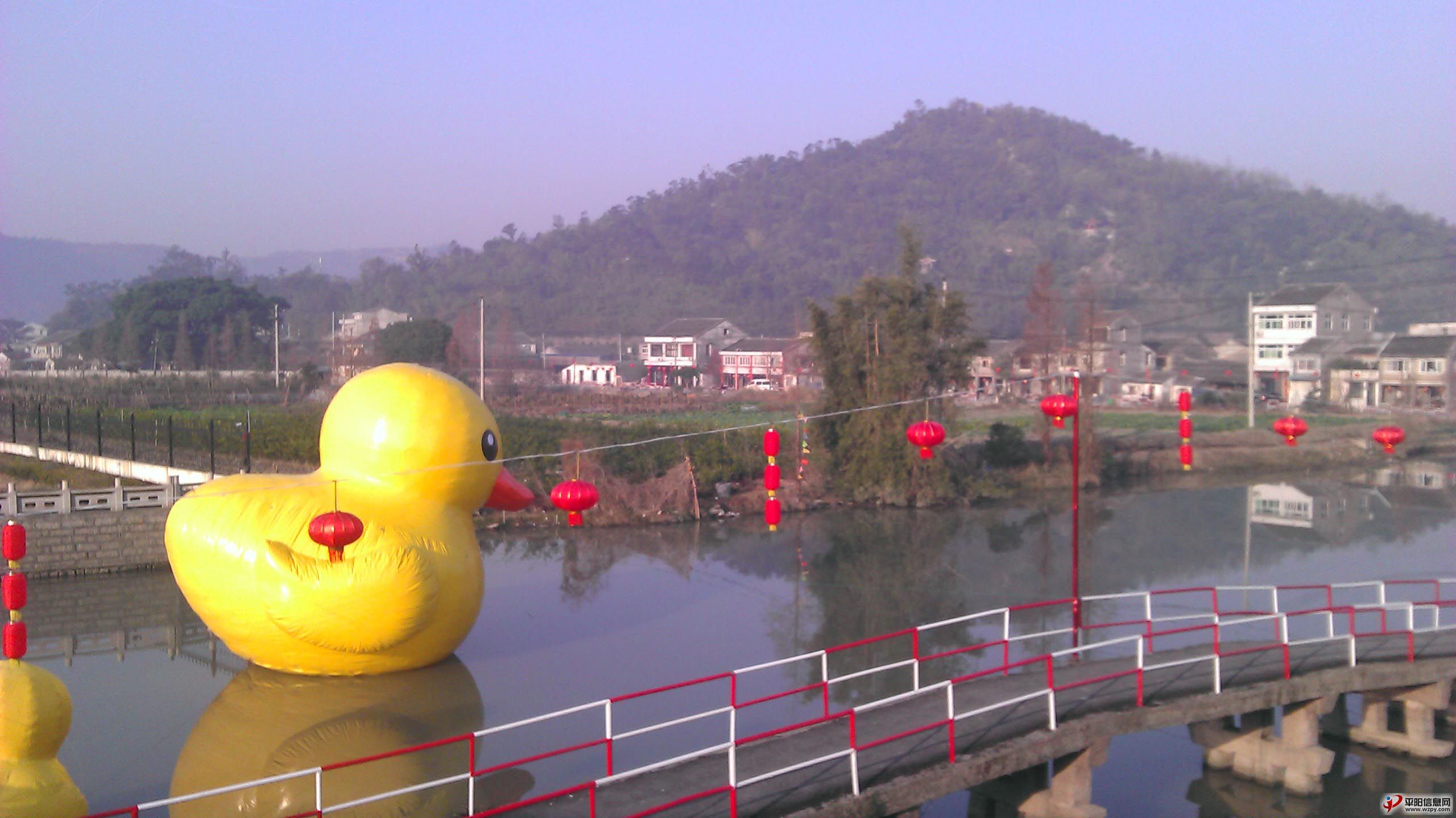 IMAG0384.jpg