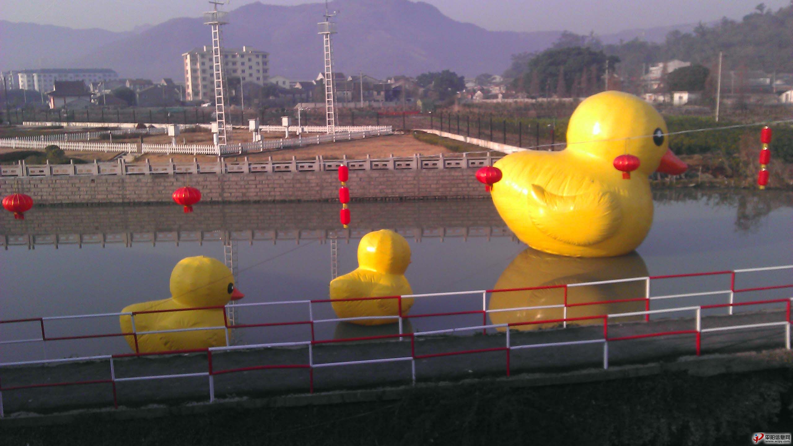 IMAG0383.jpg