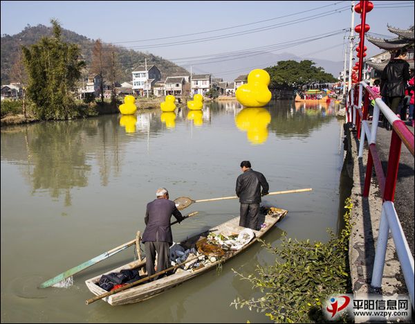 ỷ.jpg