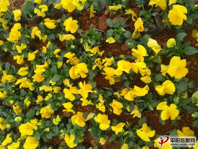 20140108_095747.jpg