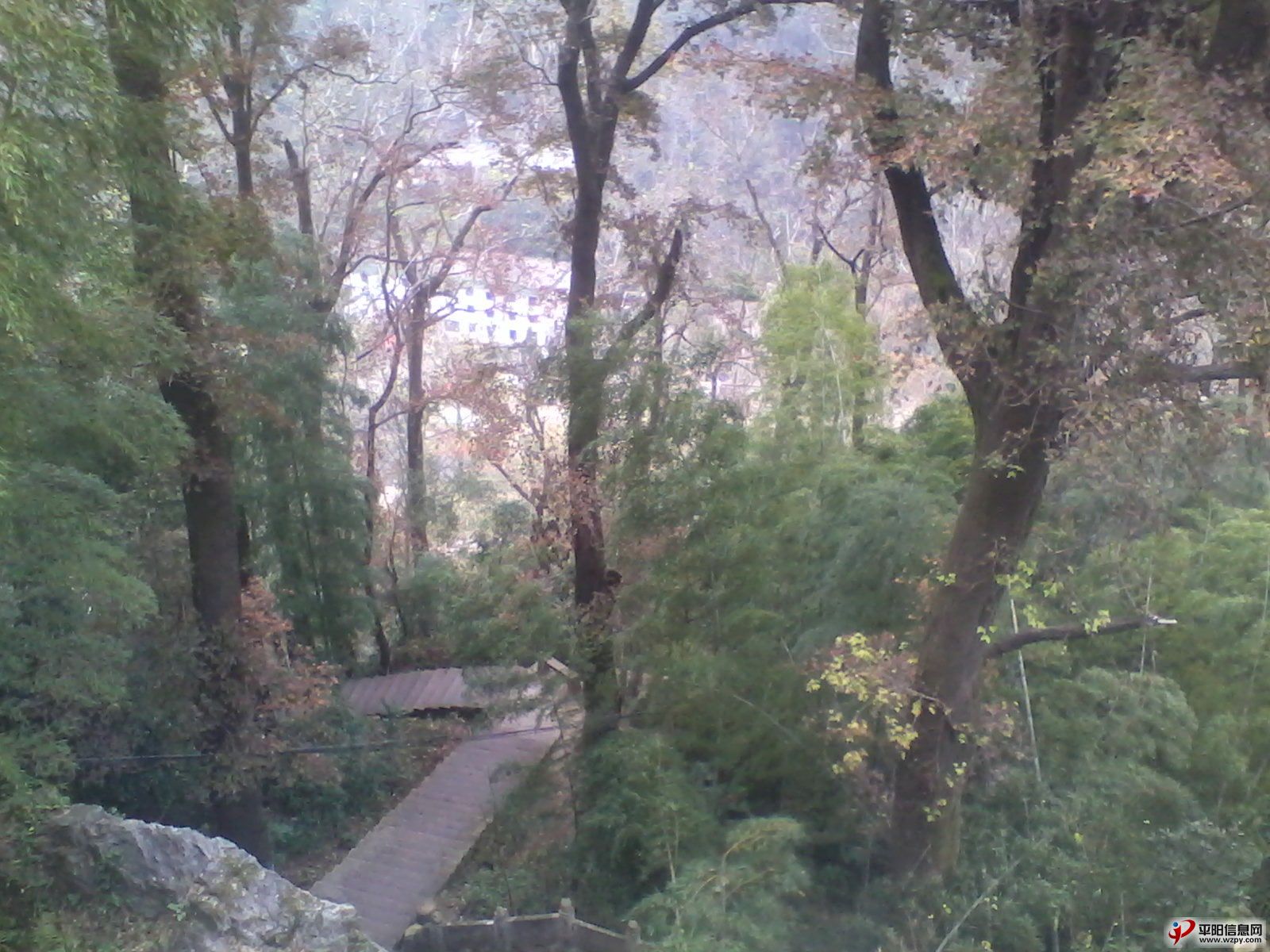 IMG_20110102_013120_ͼ.jpg