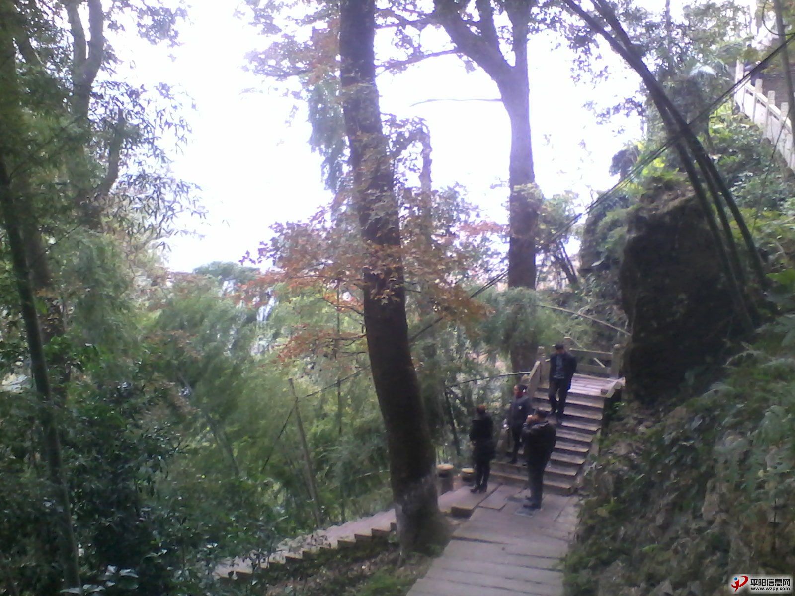 IMG_20110102_021238_ͼ.jpg