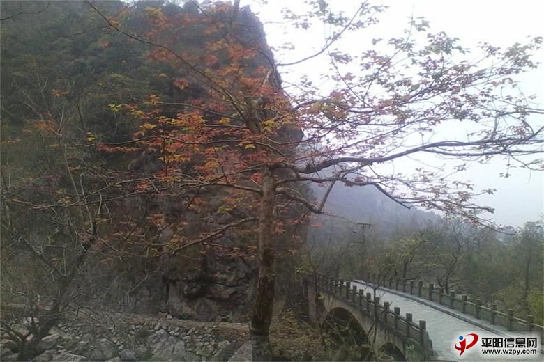 IMG_20110102_022606_ͼ.jpg