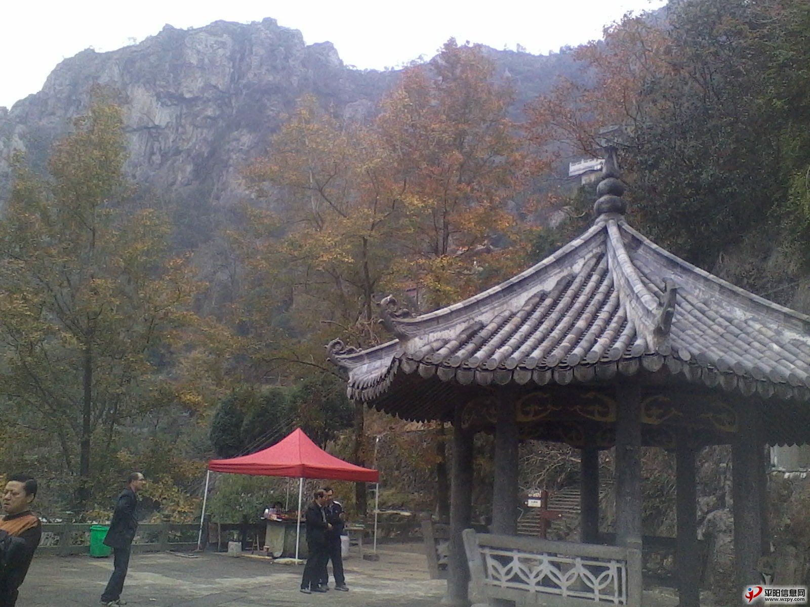 IMG_20110102_014054_ͼ.jpg