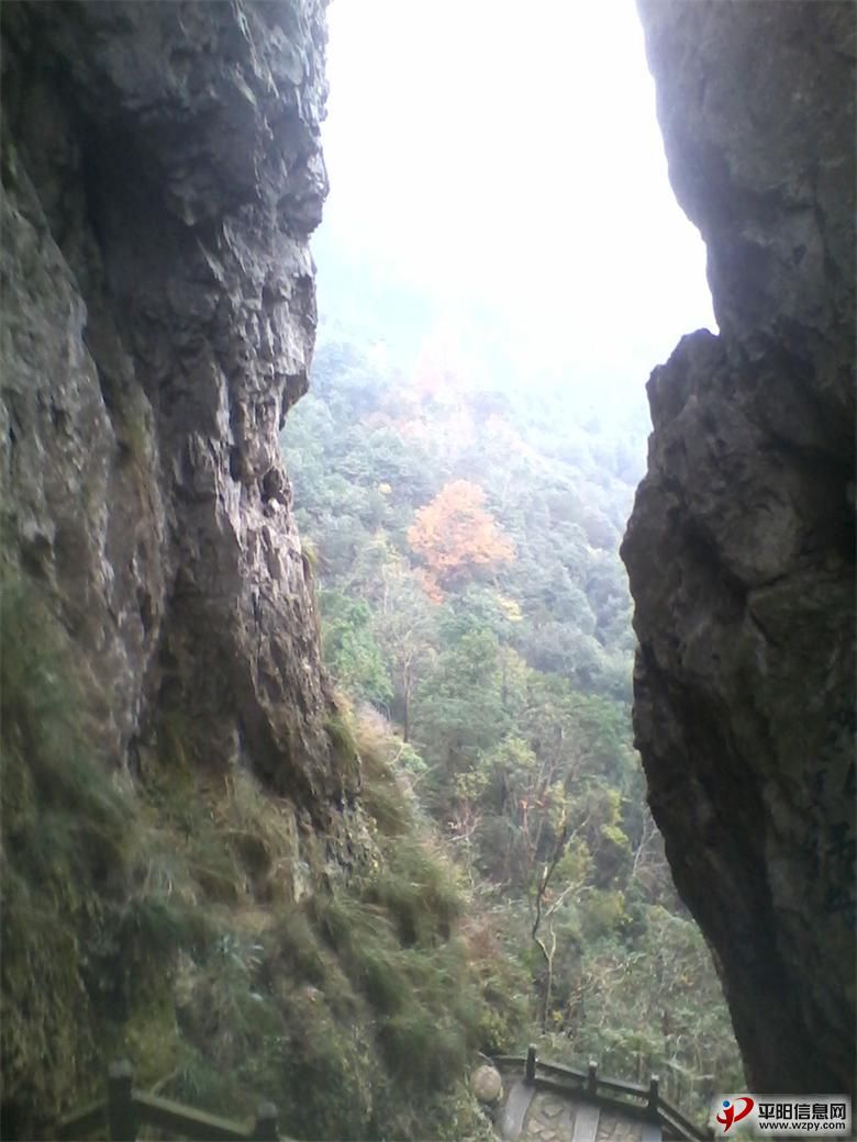 IMG_20110102_012655_ͼ.jpg