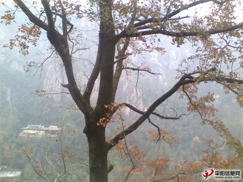 IMG_20110102_014026_ͼ.jpg