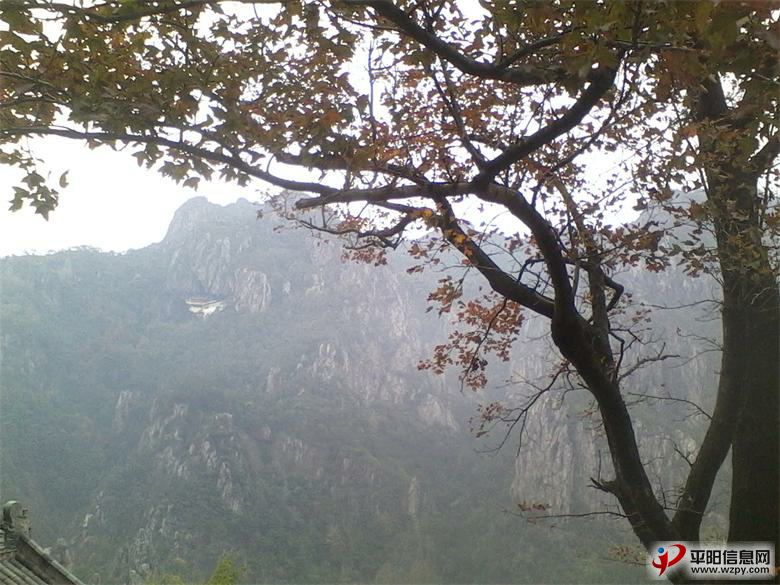 IMG_20110102_014036_ͼ.jpg