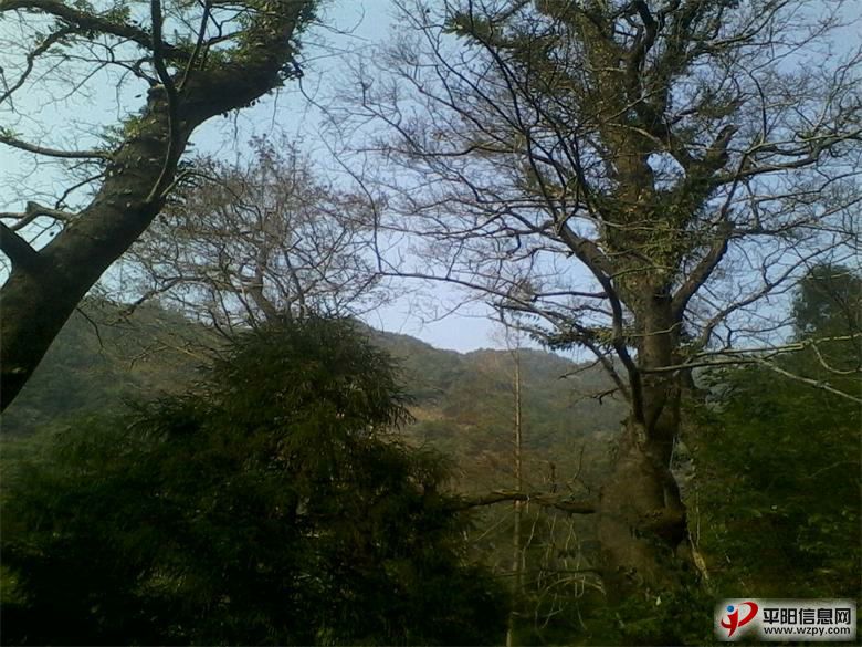 IMG_20140118_144807_ͼ.jpg
