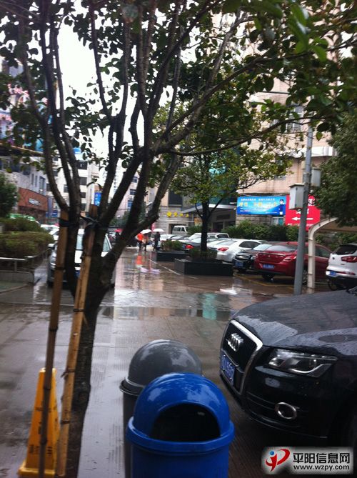 Ƭ 008.jpg