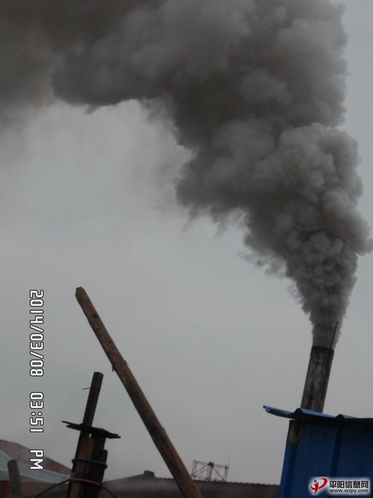 SAM_0449.jpg