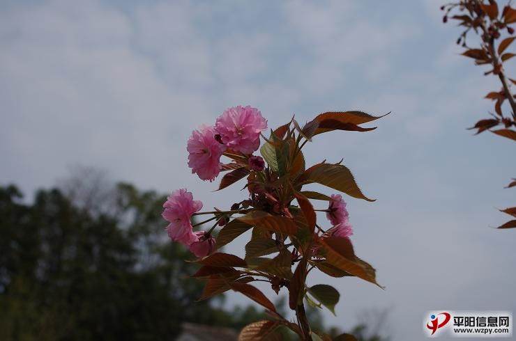 IMGP3119.JPG