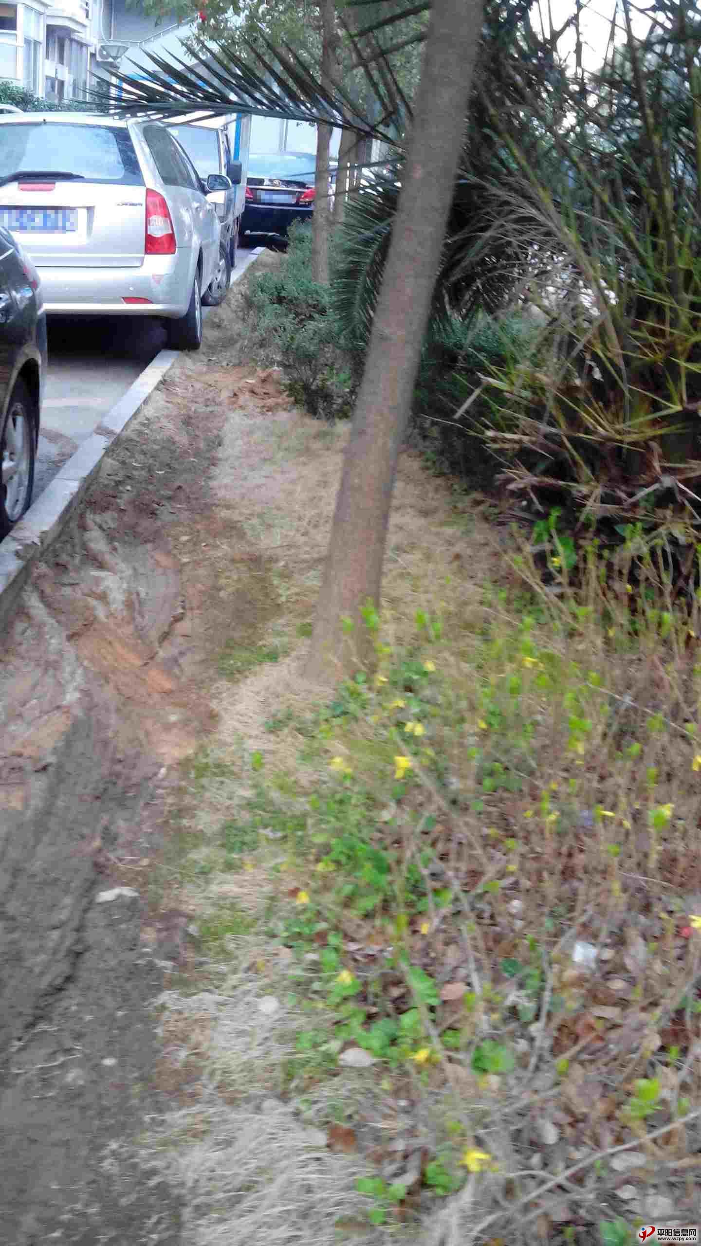 m_IMG_20140314_071146_.jpg