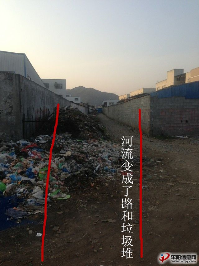 5_.jpg