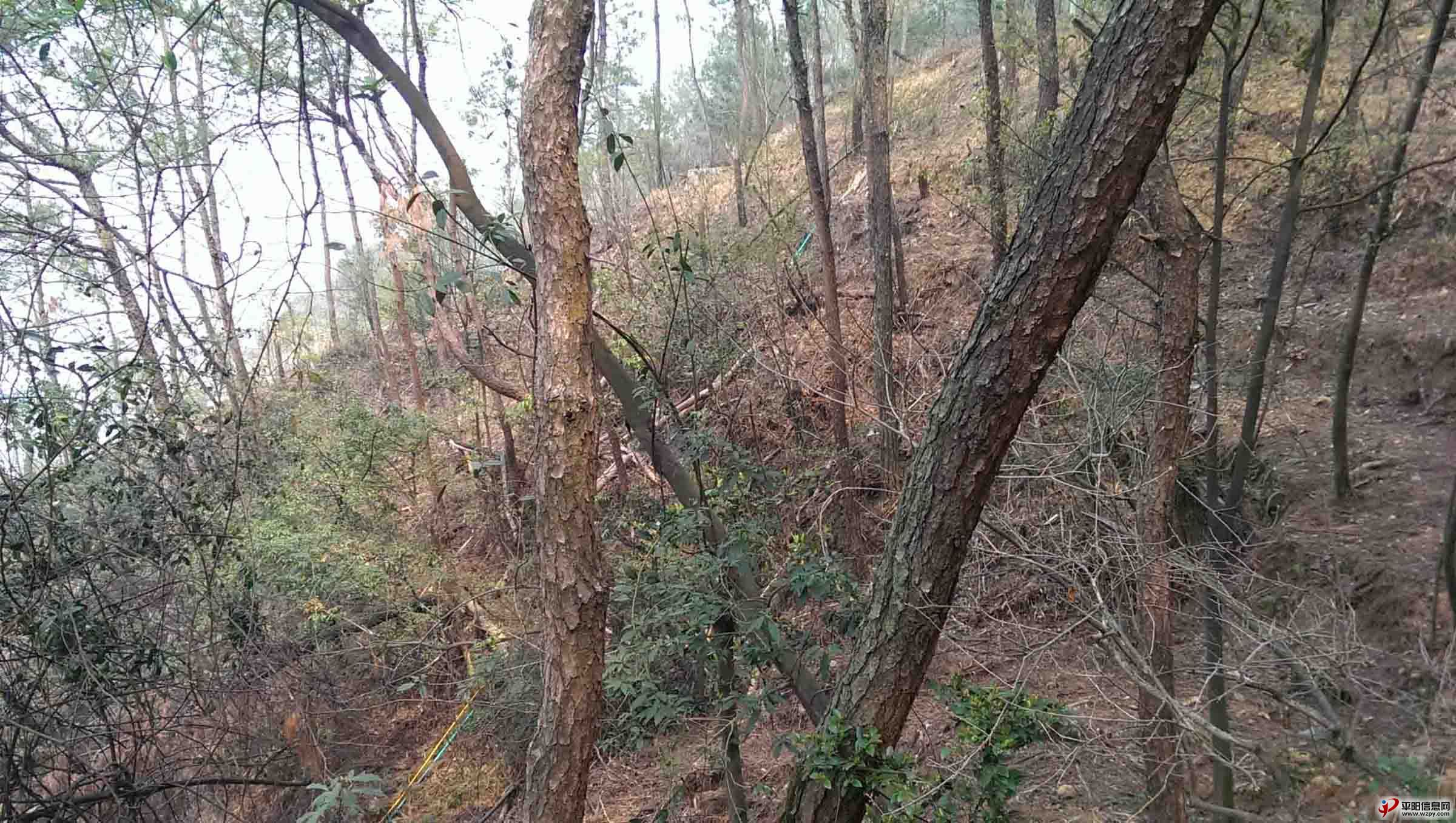 IMAG0118.jpg