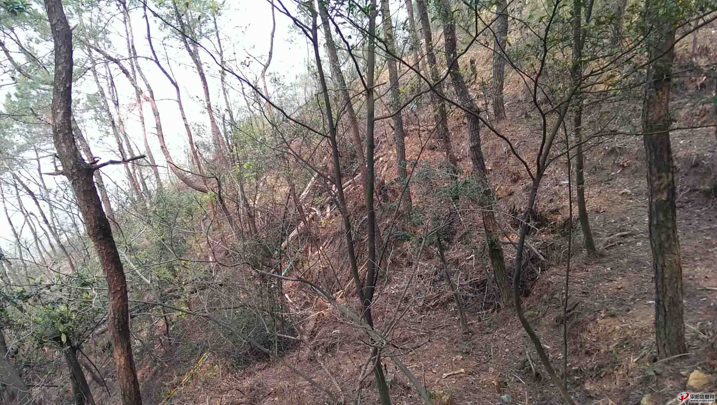 IMAG0119.jpg