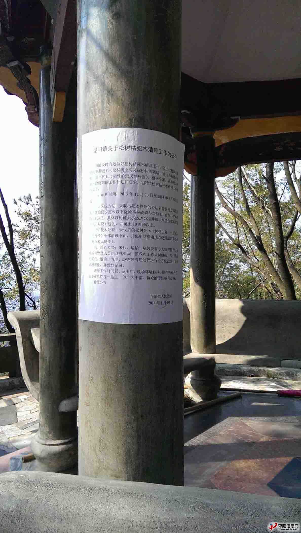IMAG0127.jpg