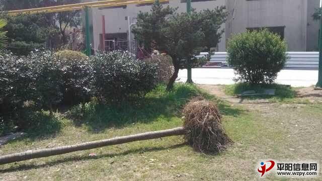 QQͼƬ20140324201946.jpg