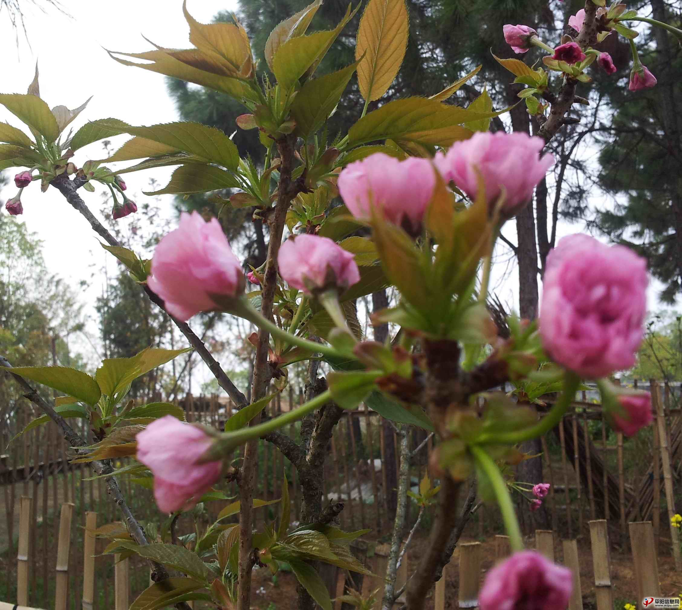 20140330_162932.jpg