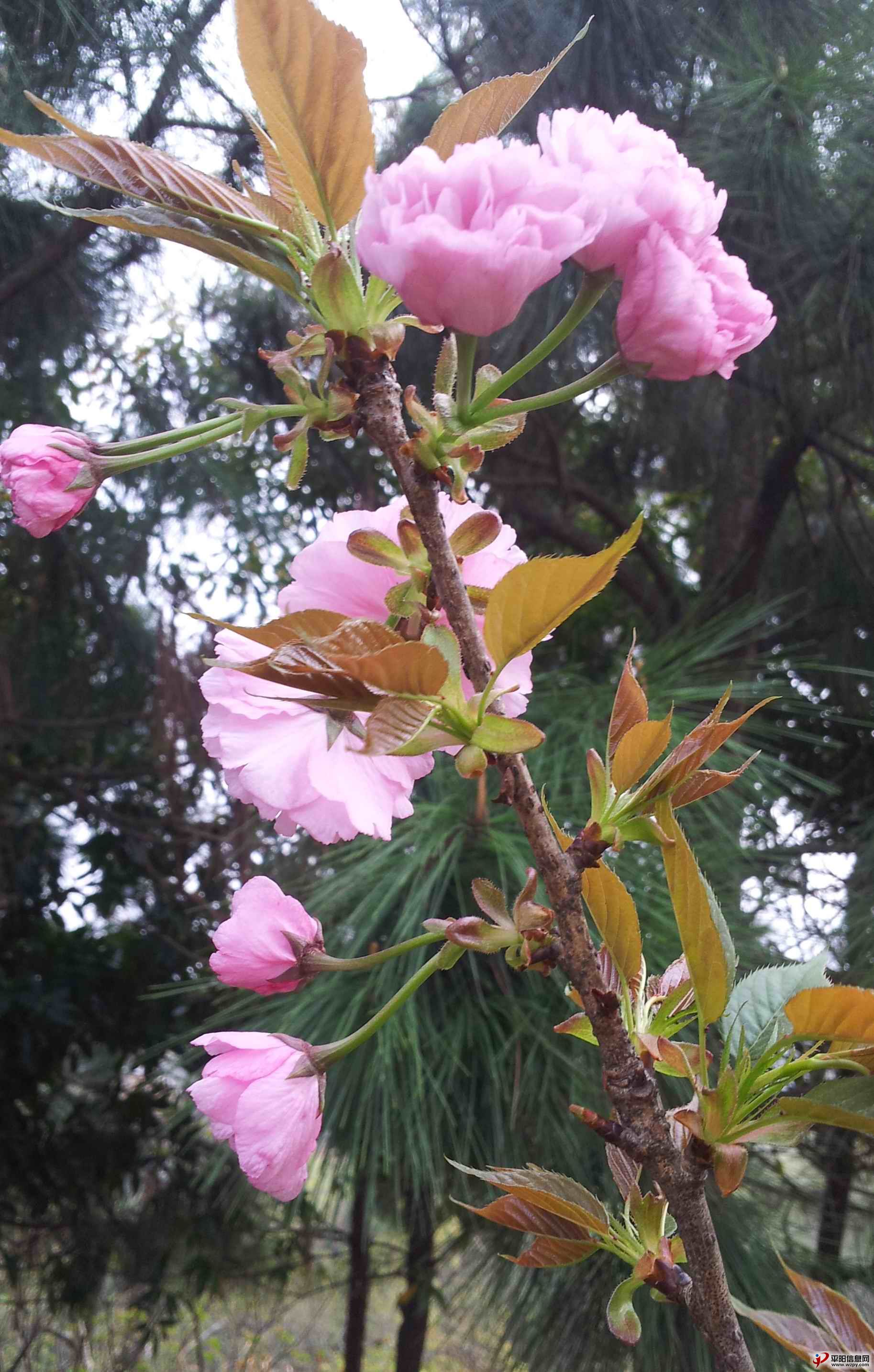 20140330_163014.jpg