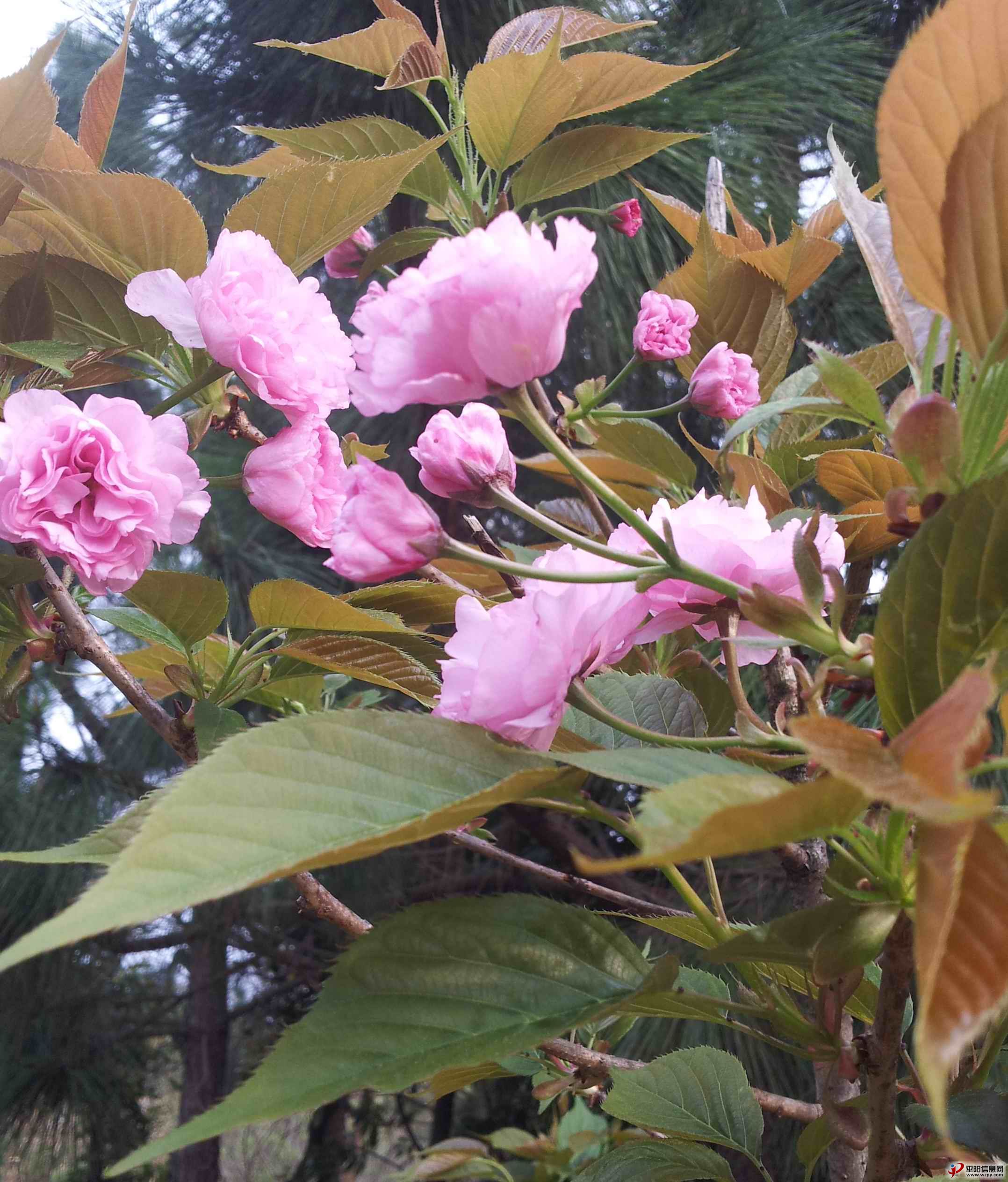 20140330_163025.jpg