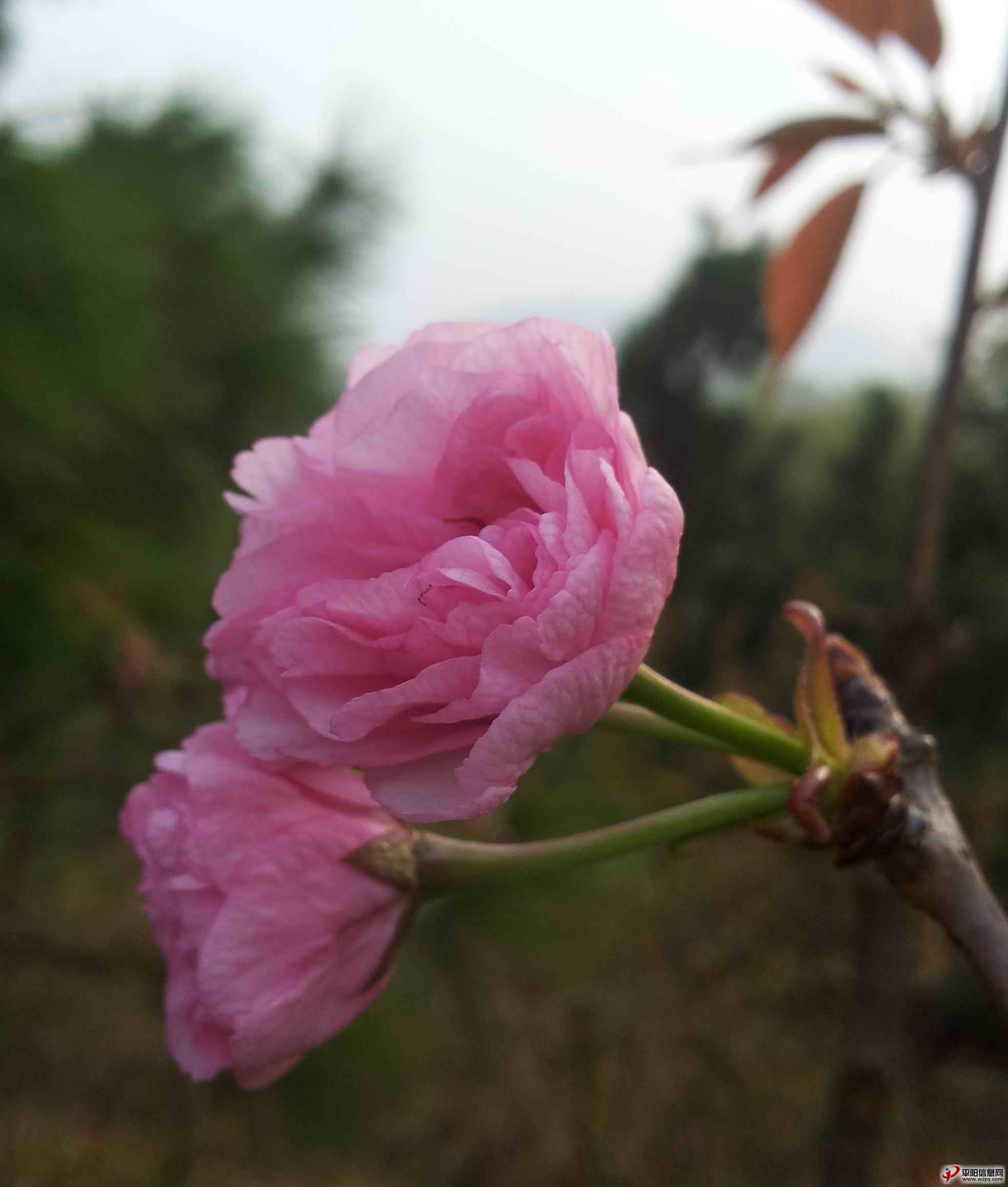 20140330_163040.jpg