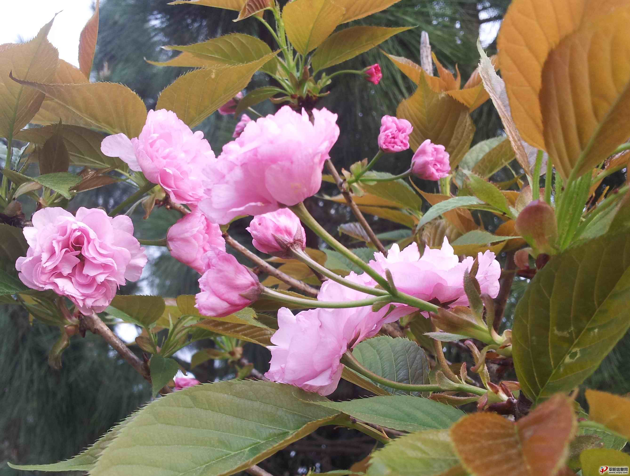 20140330_163058.jpg