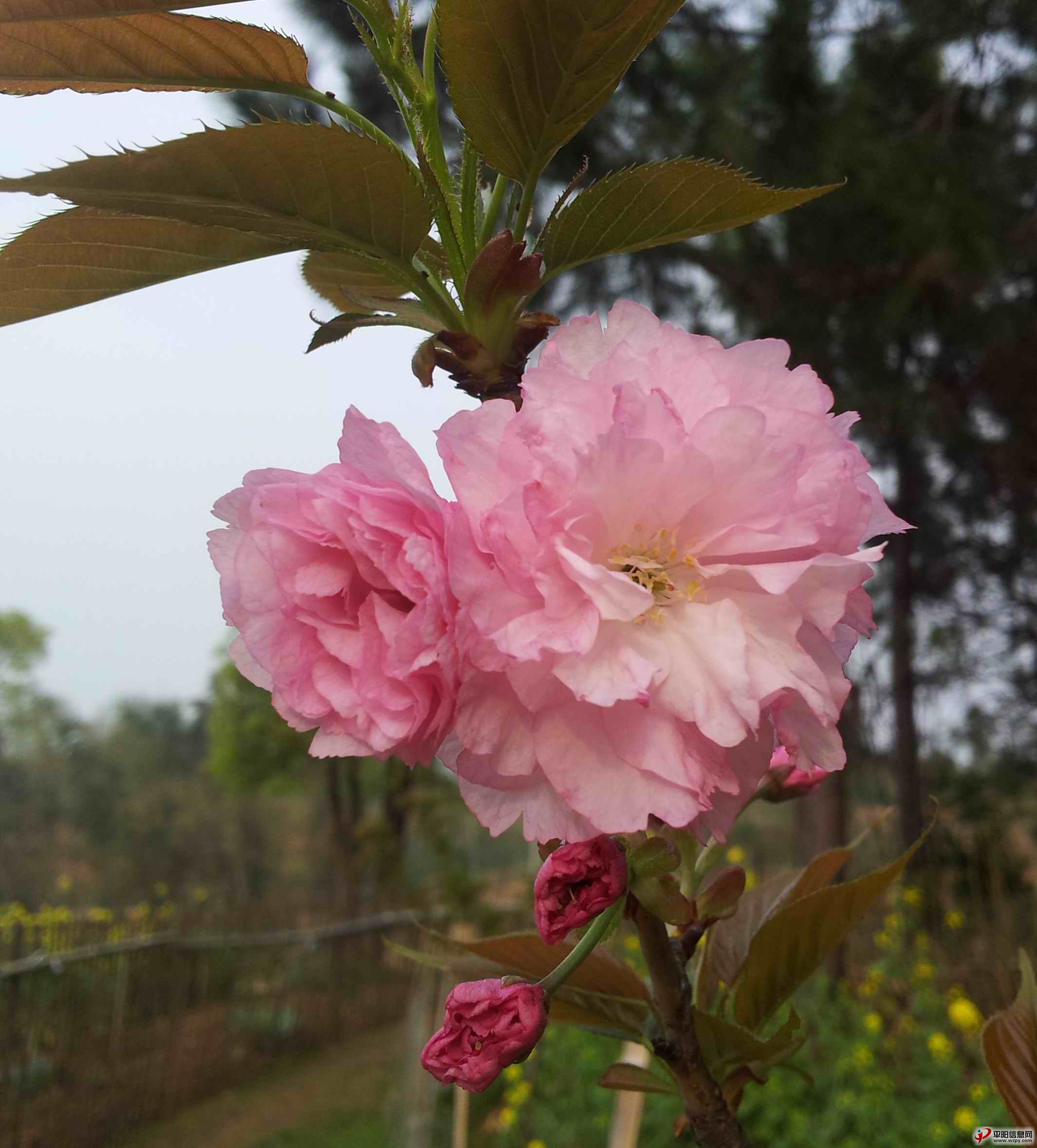 20140330_163224.jpg