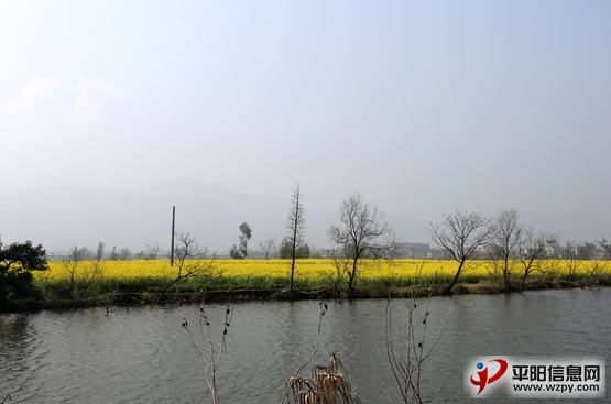 Ƭ 037.jpg