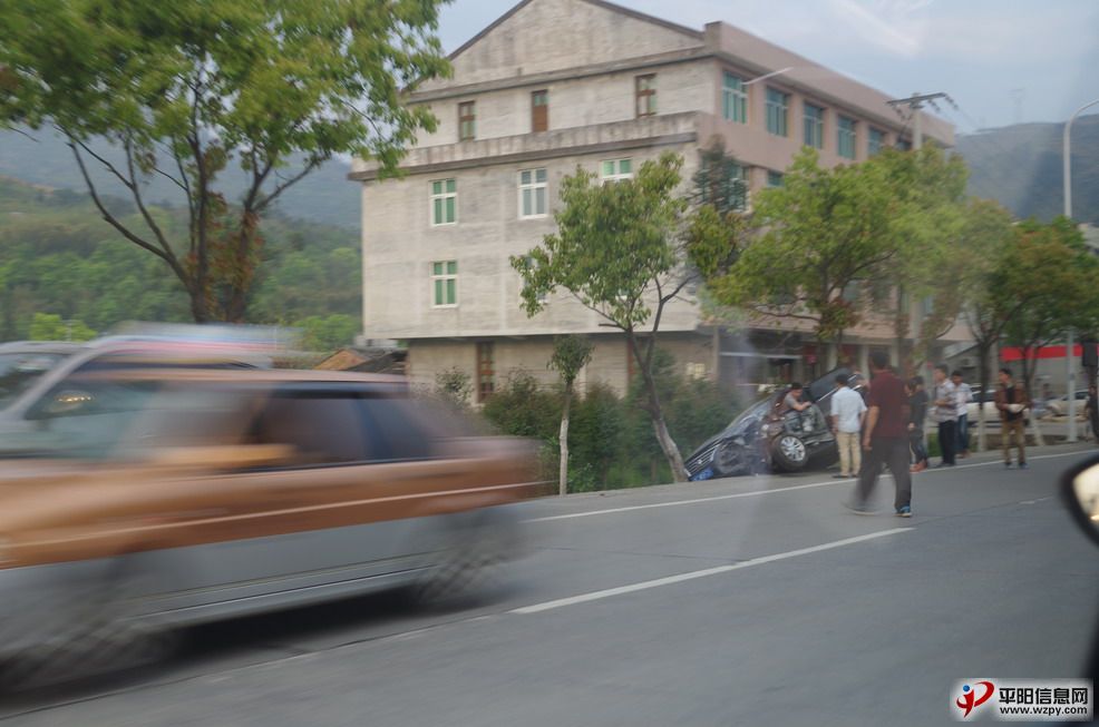 IMGP4054_СС.JPG