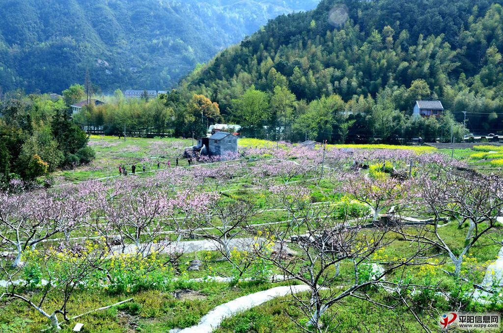 DSC_0463_.jpg