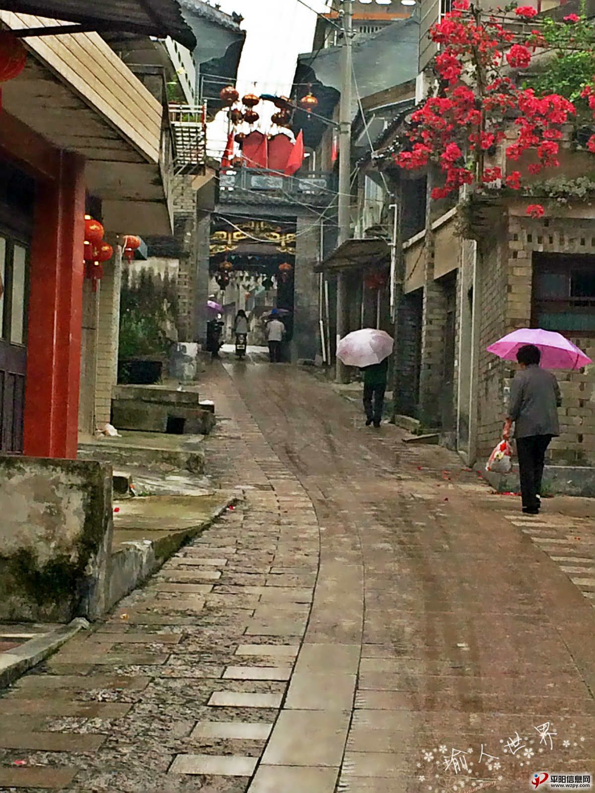 IMG_3833_meitu_7.jpg