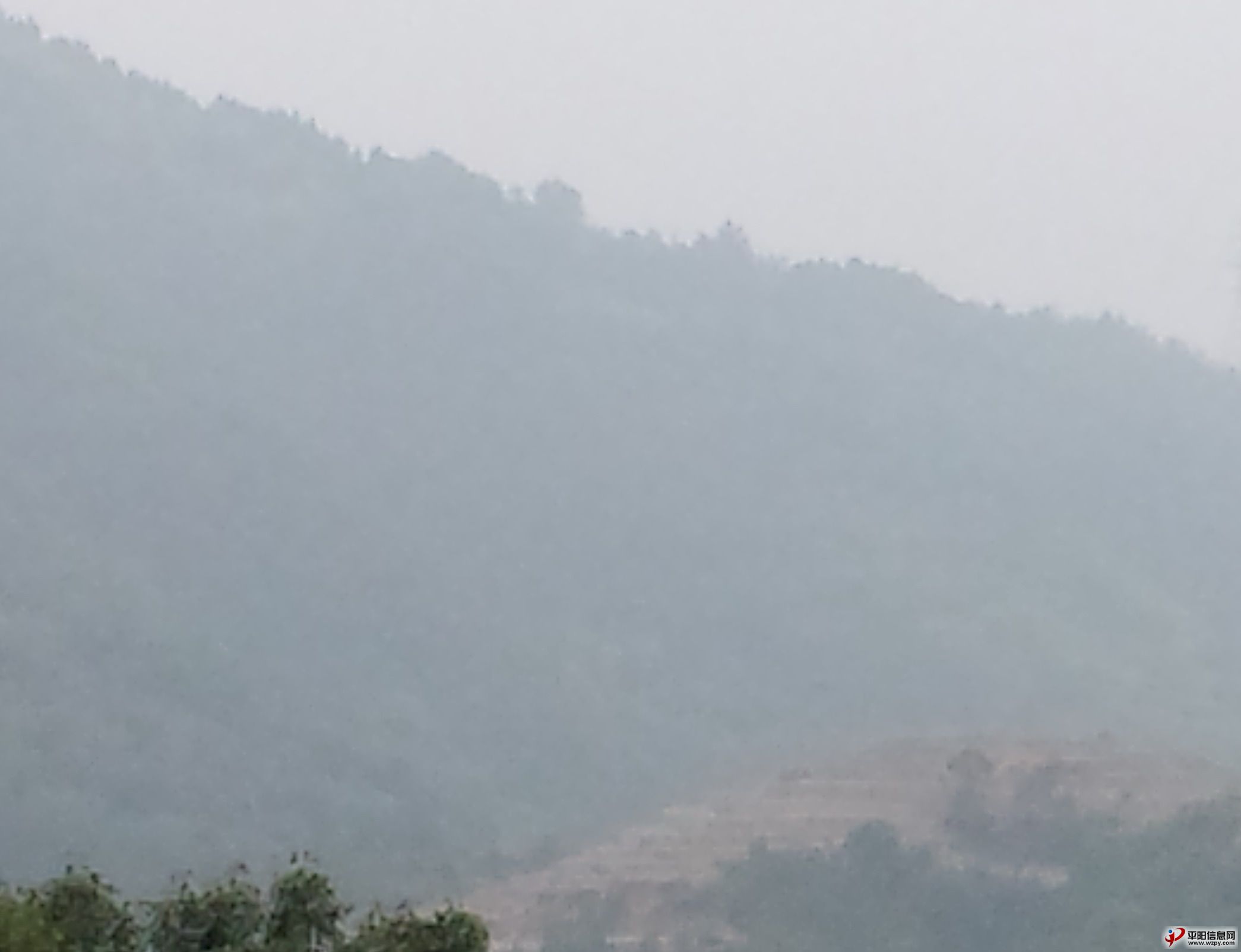 20140603_142237.jpg