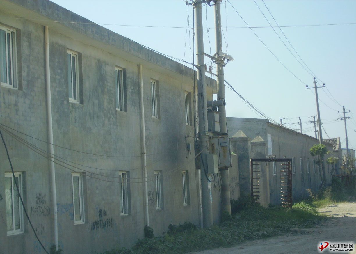 PICT7385.jpg