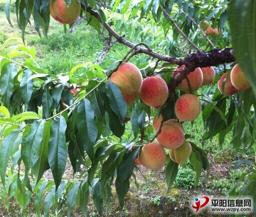 QQͼƬ20140617194303.jpg