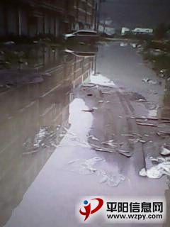 IMG0199A.jpg