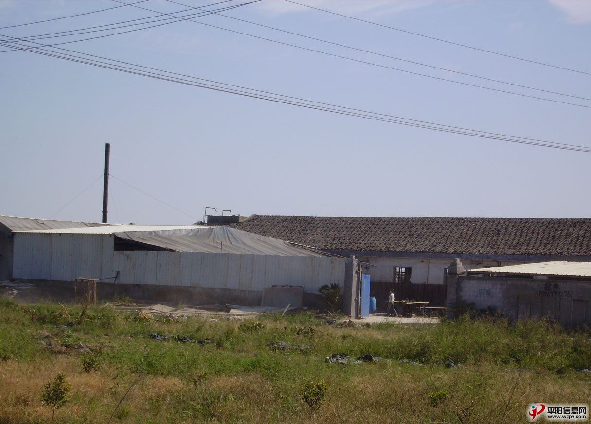 PICT7392.jpg