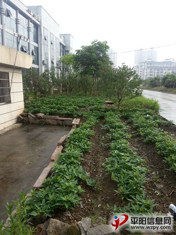 20140703_070442.jpg
