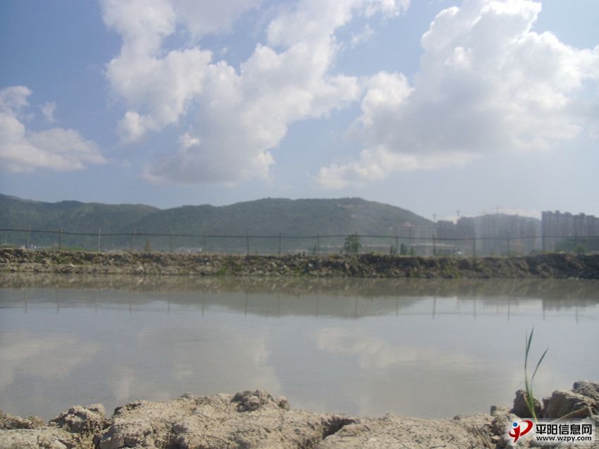 04.jpg
