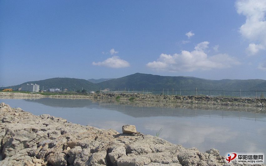 05.jpg