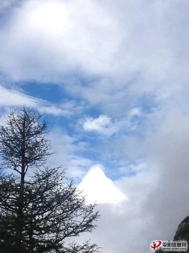 543.jpg