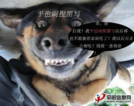 2012031711014040544.jpg