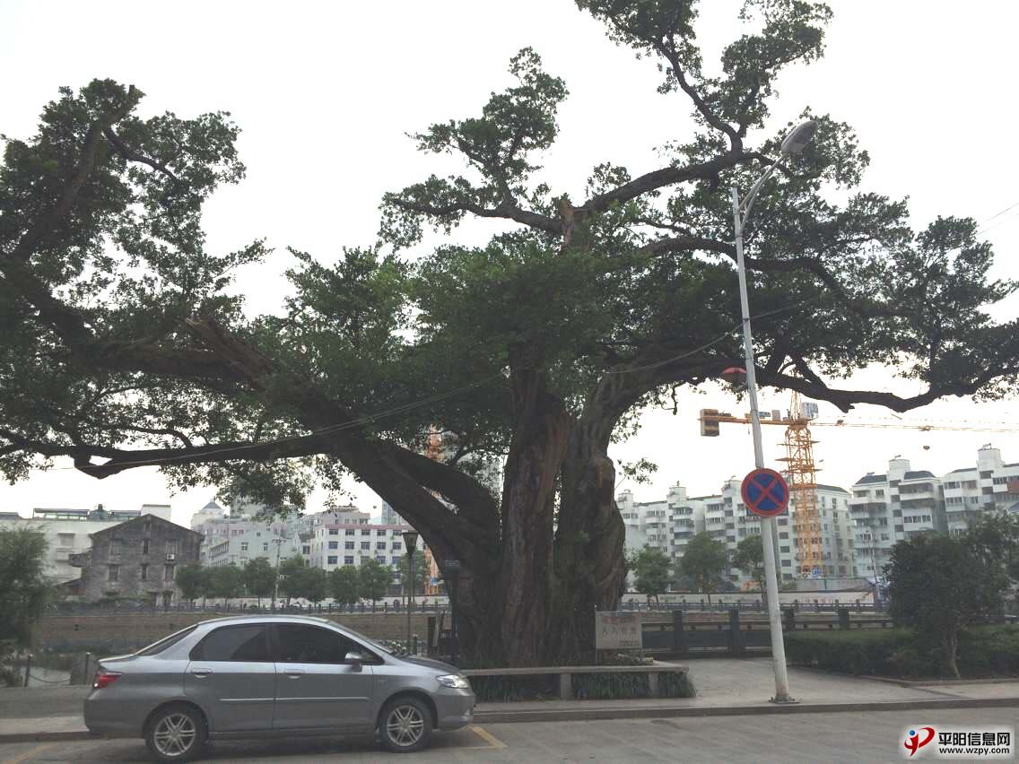 444.jpg