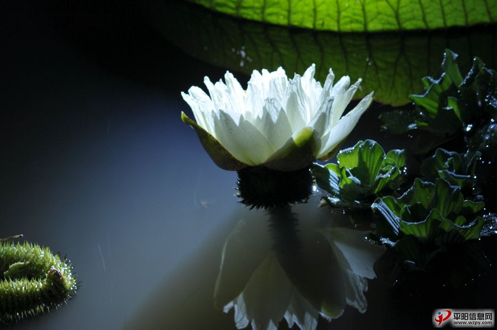 CSL_5808_.jpg